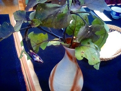 IMG_20201023_102426.jpg
